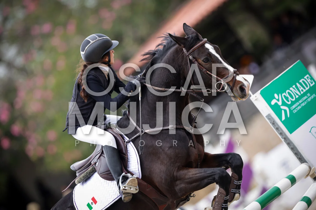 Foto de FRIDA SUAREZ