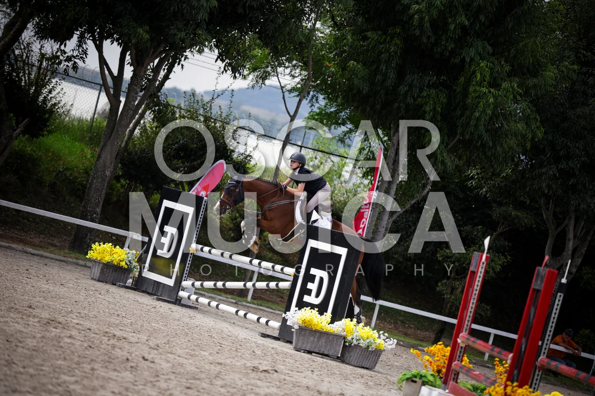 Foto de GILARY REYES