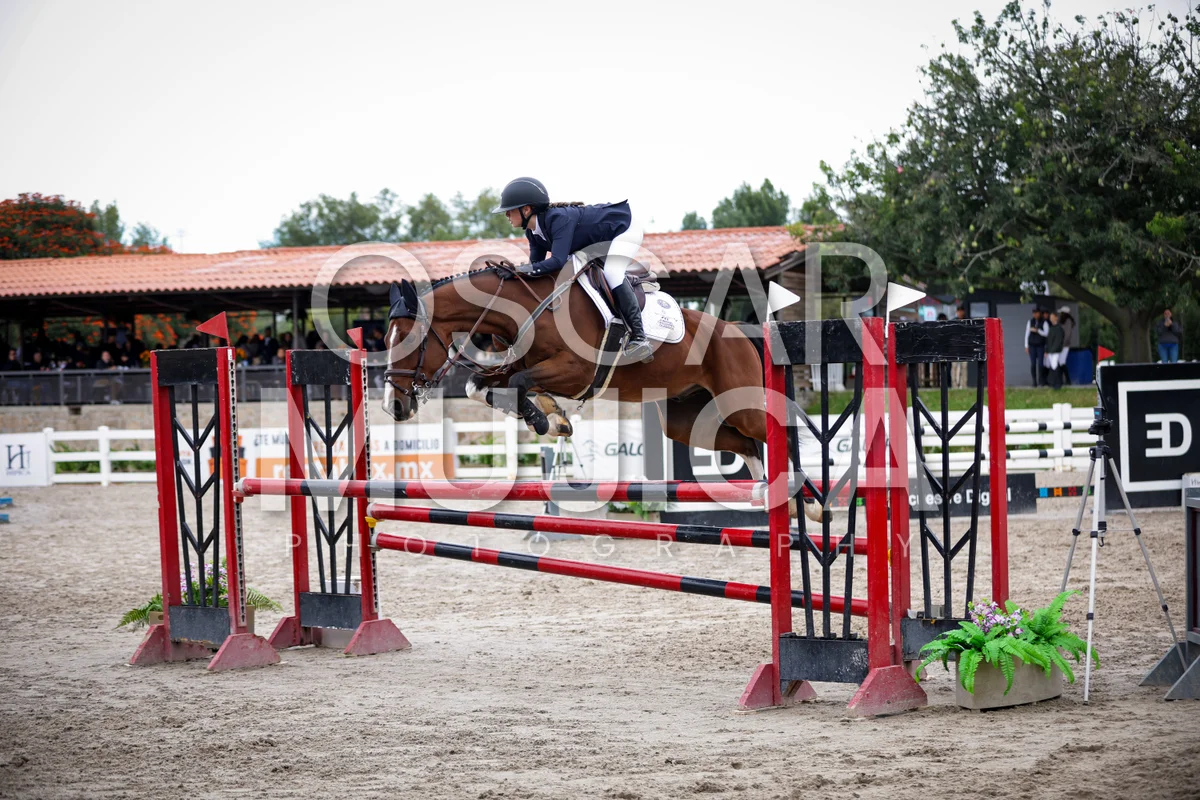 Foto de GILARY REYES