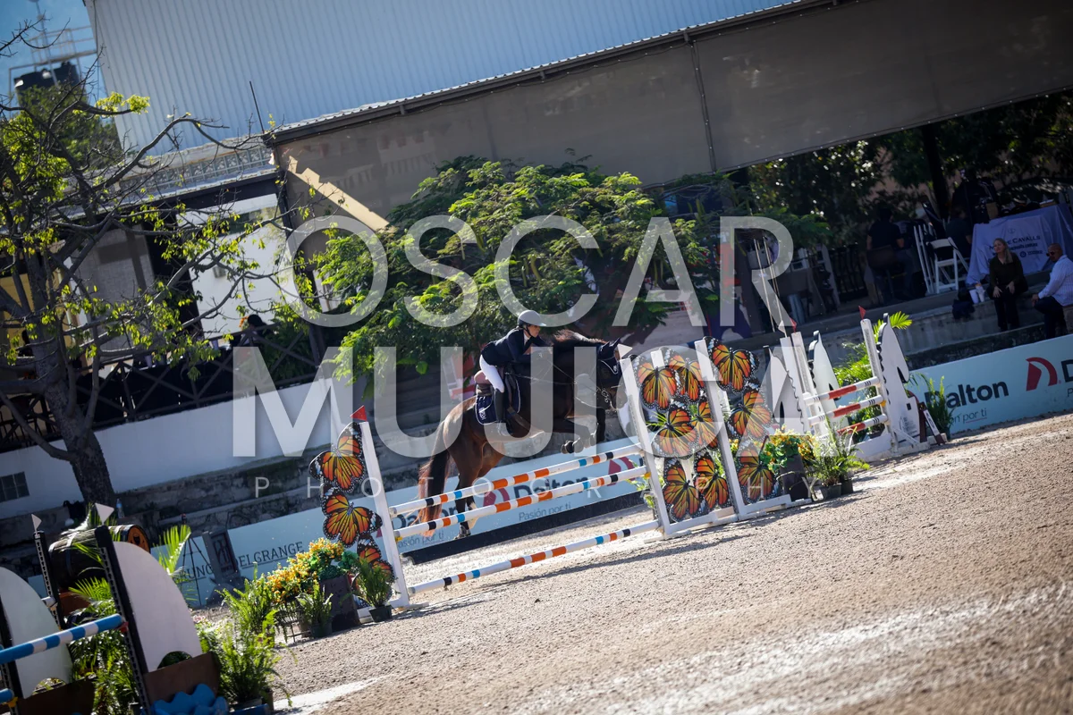 Foto de IRENE CORA