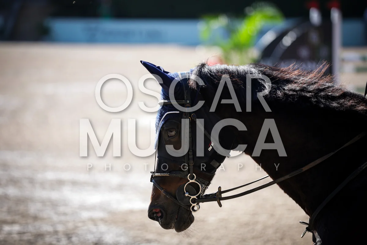 Foto de IRENE CORA