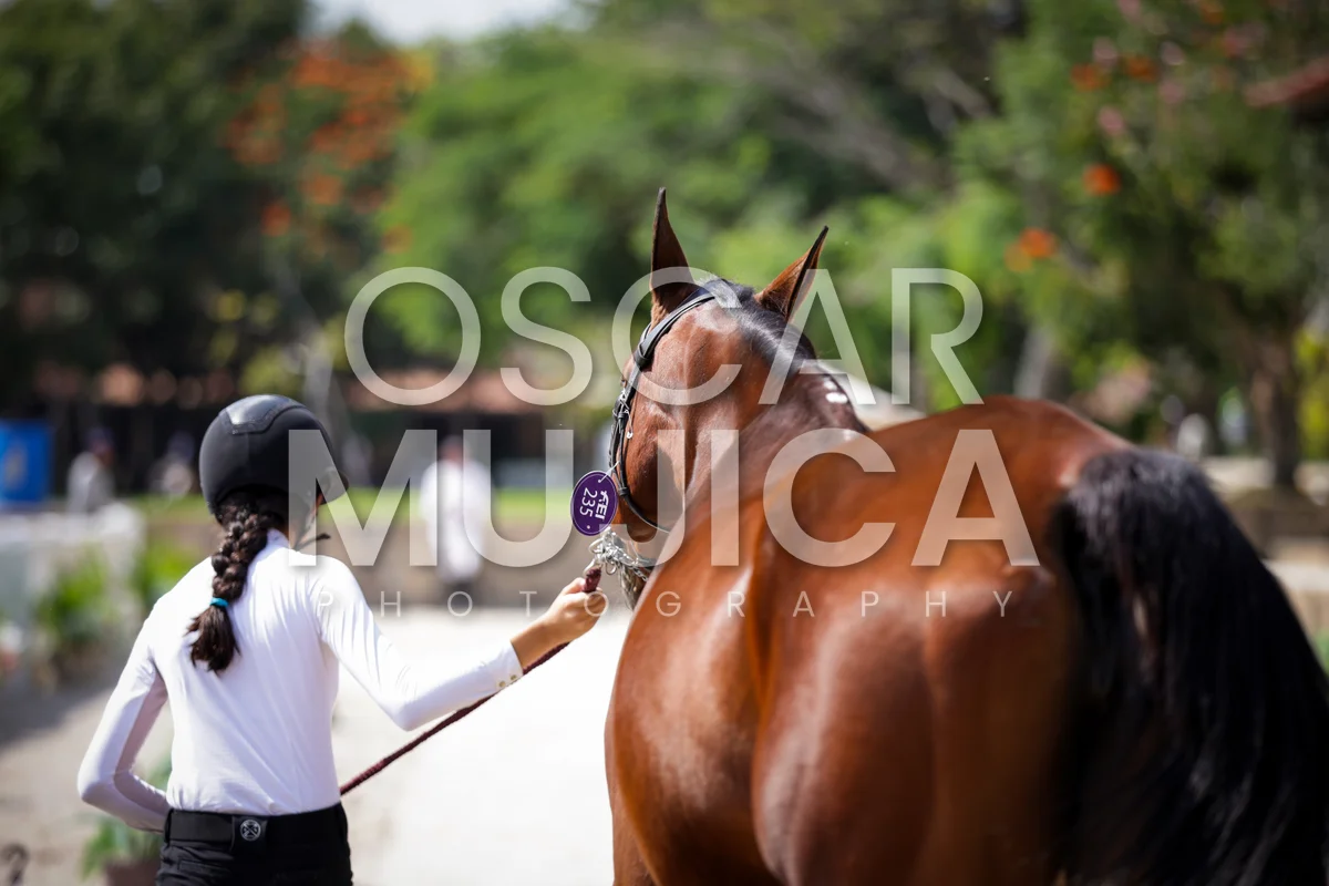 Foto de ISABELLA DELGADO
