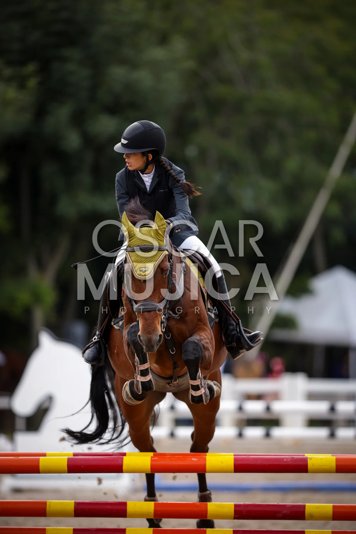 Foto de ISABELLA DELGADO
