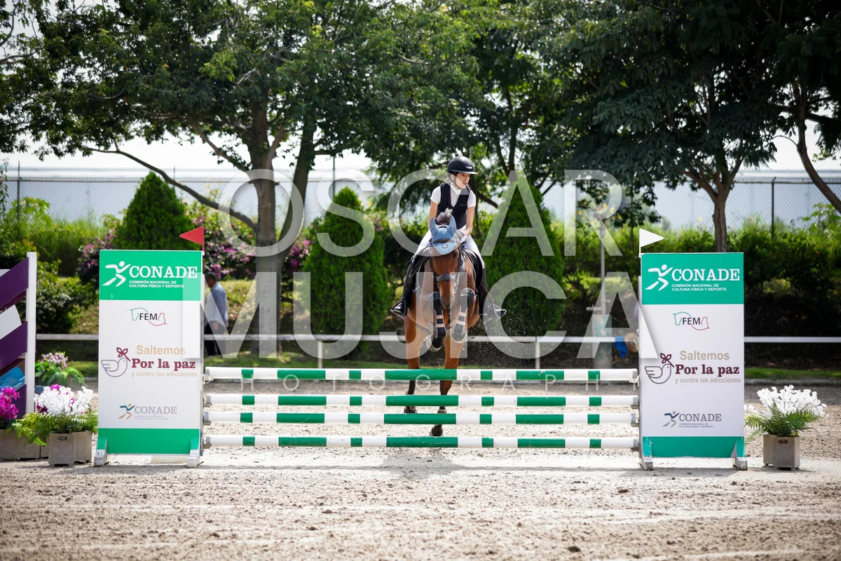 Foto de ISABELLA DELGADO
