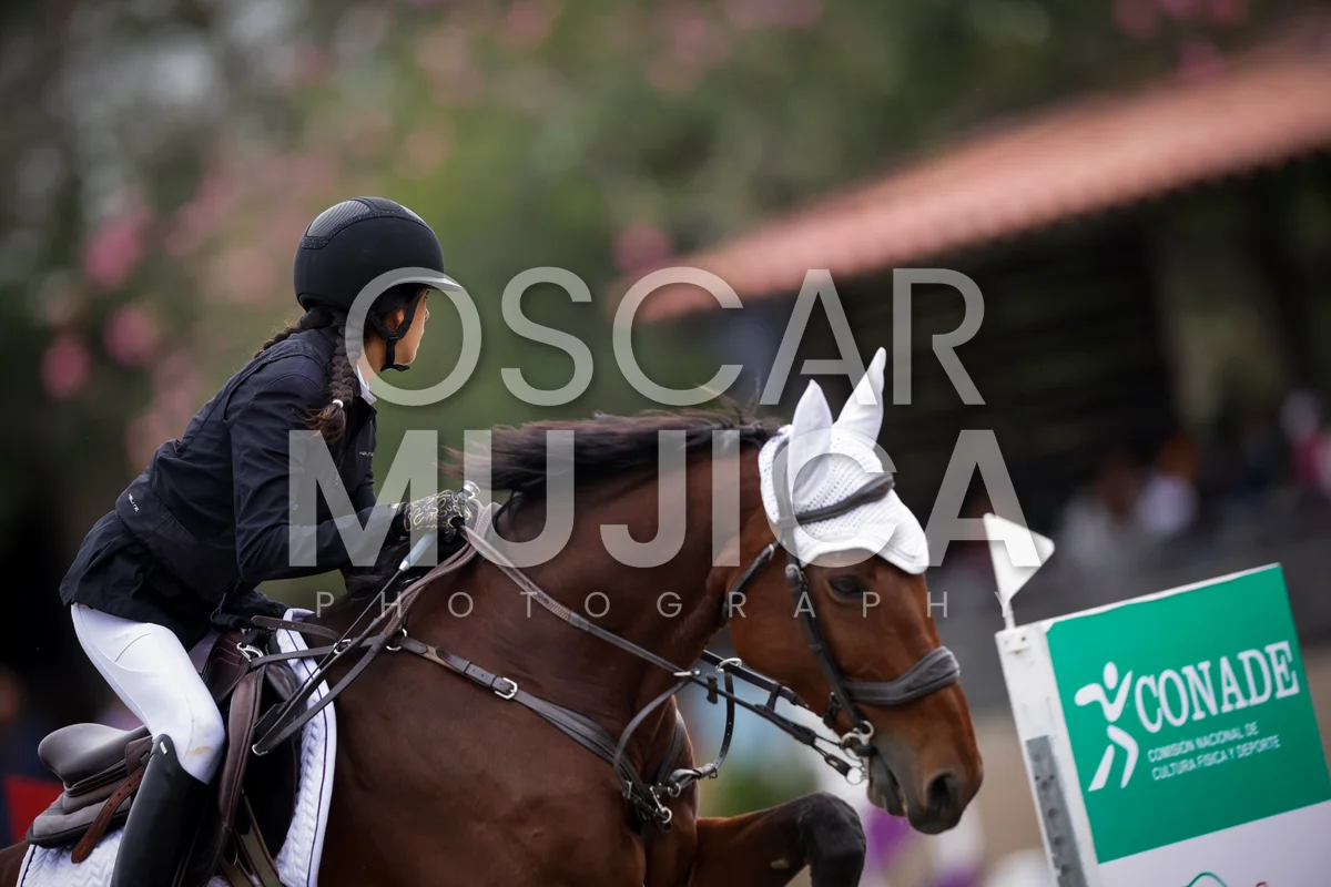 Foto de ISABELLA DELGADO