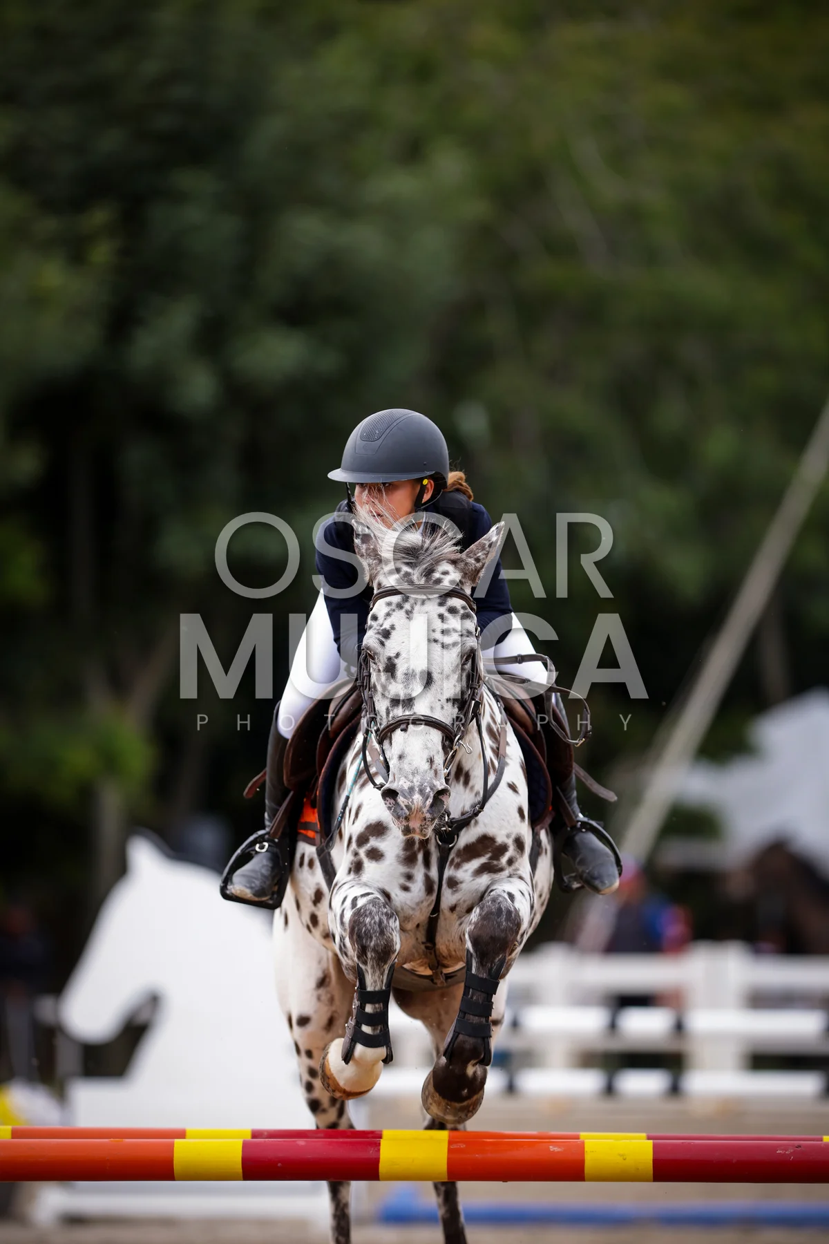 Foto de ISABELLA DE ALBERTI