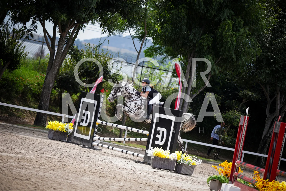 Foto de ISABELLA DE ALBERTI