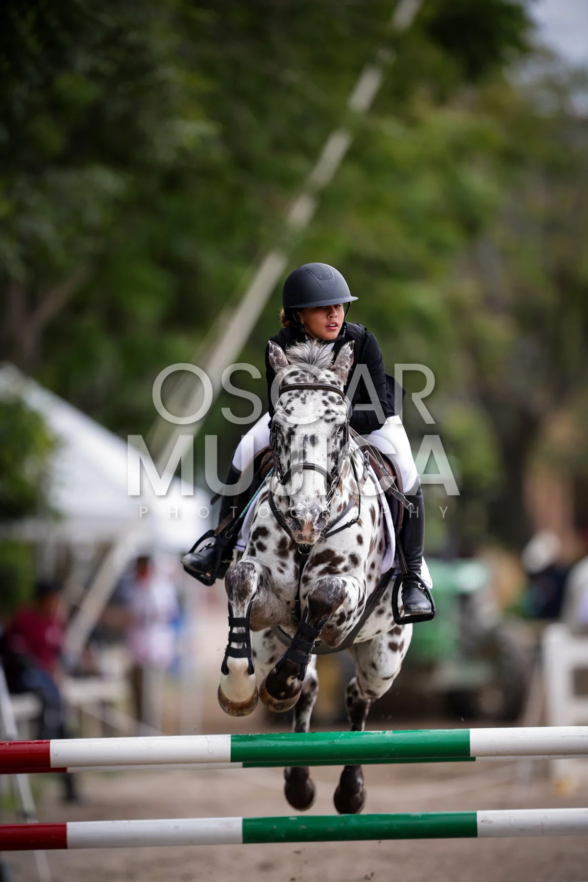 Foto de ISABELLA DE ALBERTI