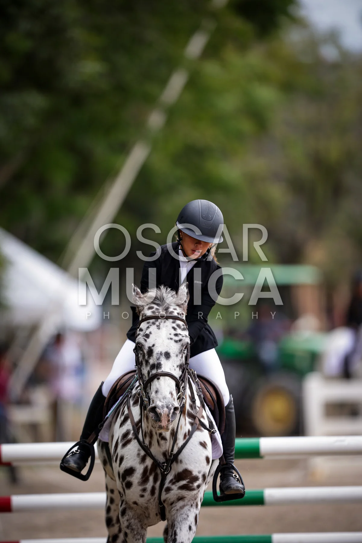 Foto de ISABELLA DE ALBERTI