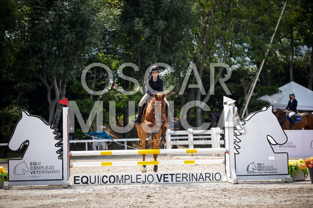 Foto de LORENA LEVY