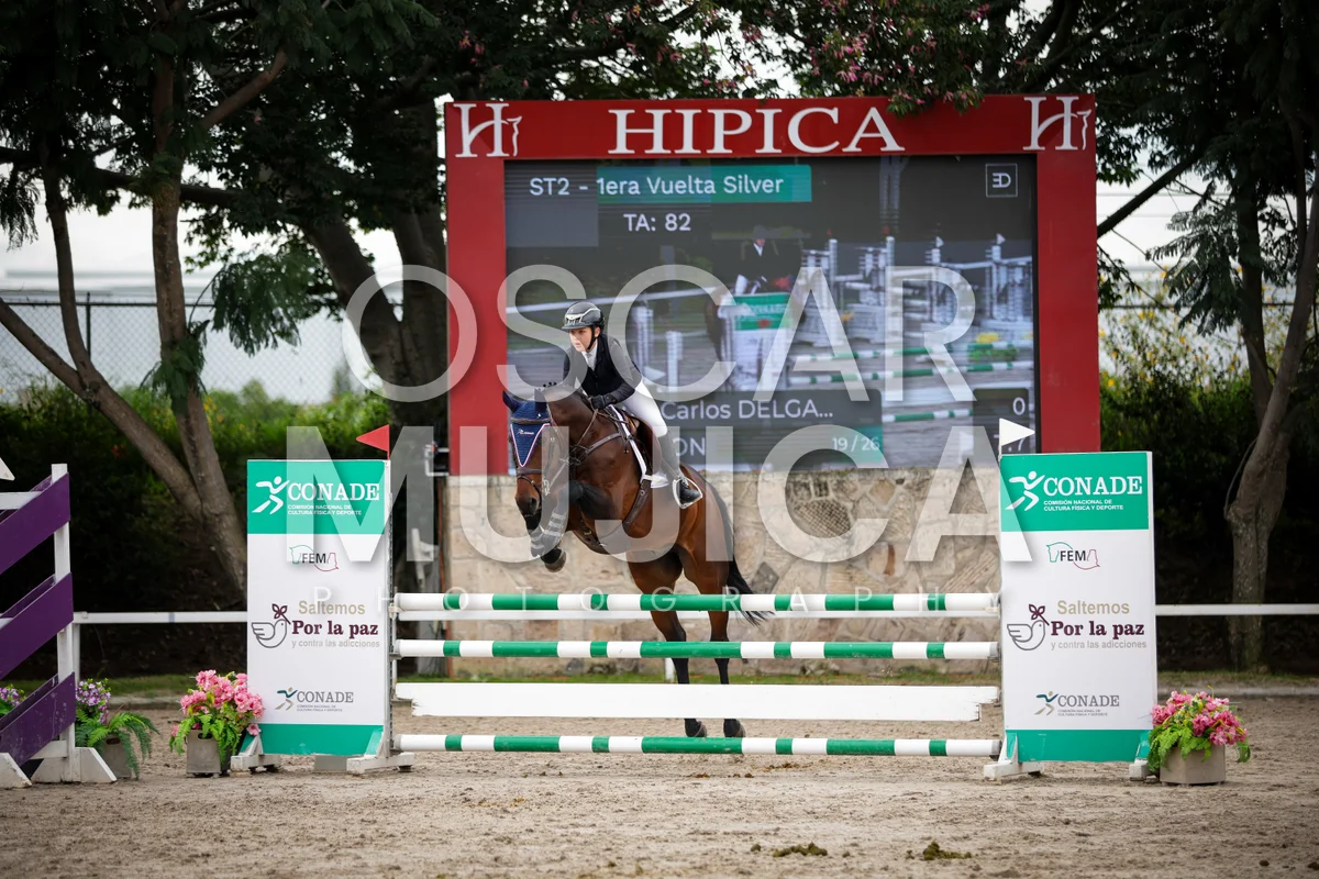 Foto de LUIS CARLOS DELGADO