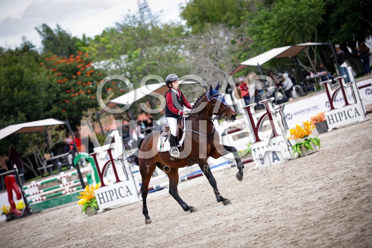 Foto de LUIS CARLOS DELGADO