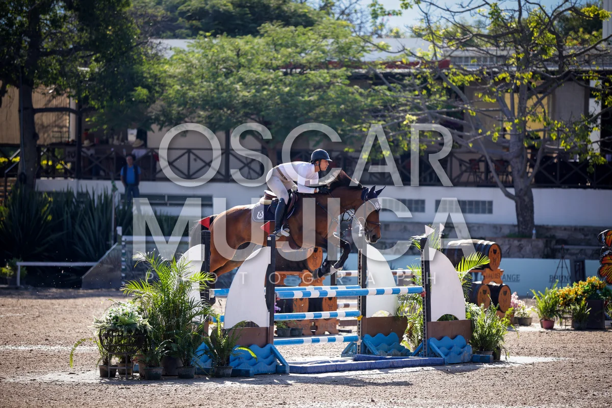 Foto de MARIANA DE LA LUZ BELTRAN