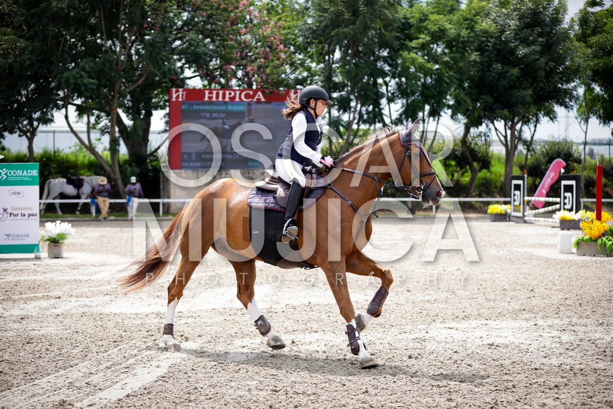 Foto de MARIA EMILIA DELGADO