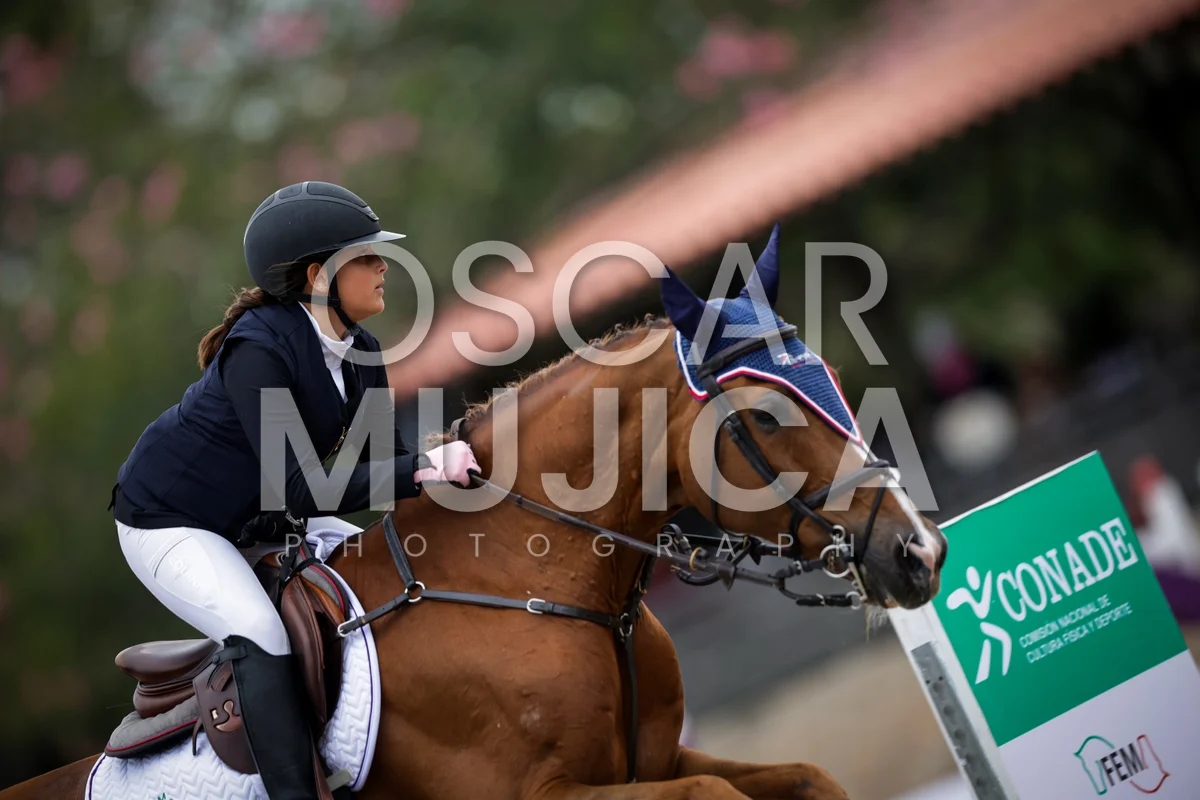 Foto de MARIA EMILIA DELGADO