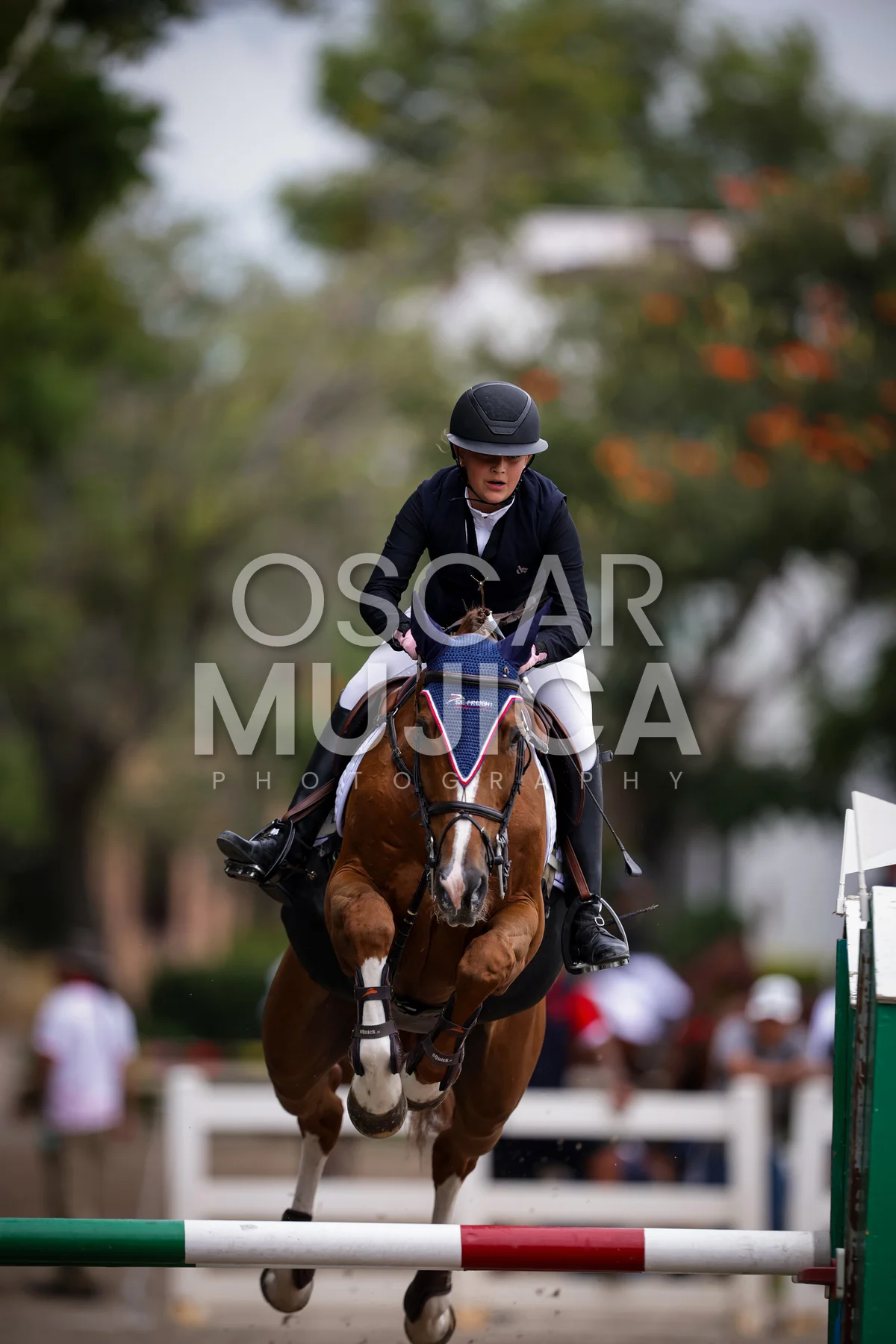 Foto de MARIA EMILIA DELGADO