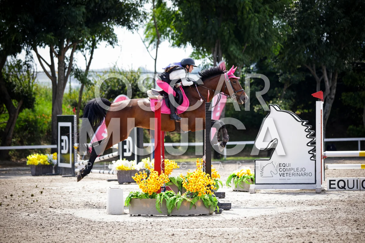 Foto de MARIA FERNANDA GOMEZ
