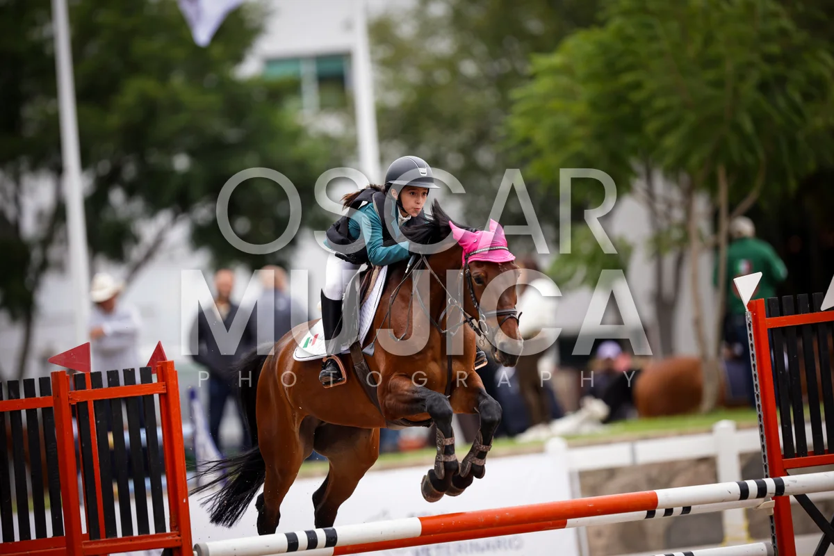Foto de MARIA FERNANDA GOMEZ