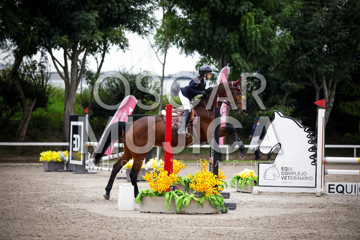 Foto de MARIA FERNANDA NUÑEZ