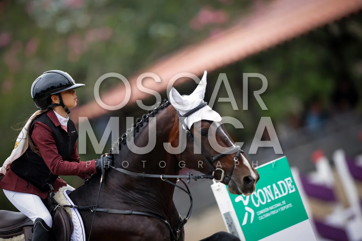 Foto de MARIA FERNANDA NUÑEZ
