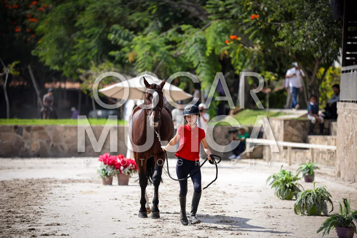 Foto de MARIA FERNANDA PACHECO