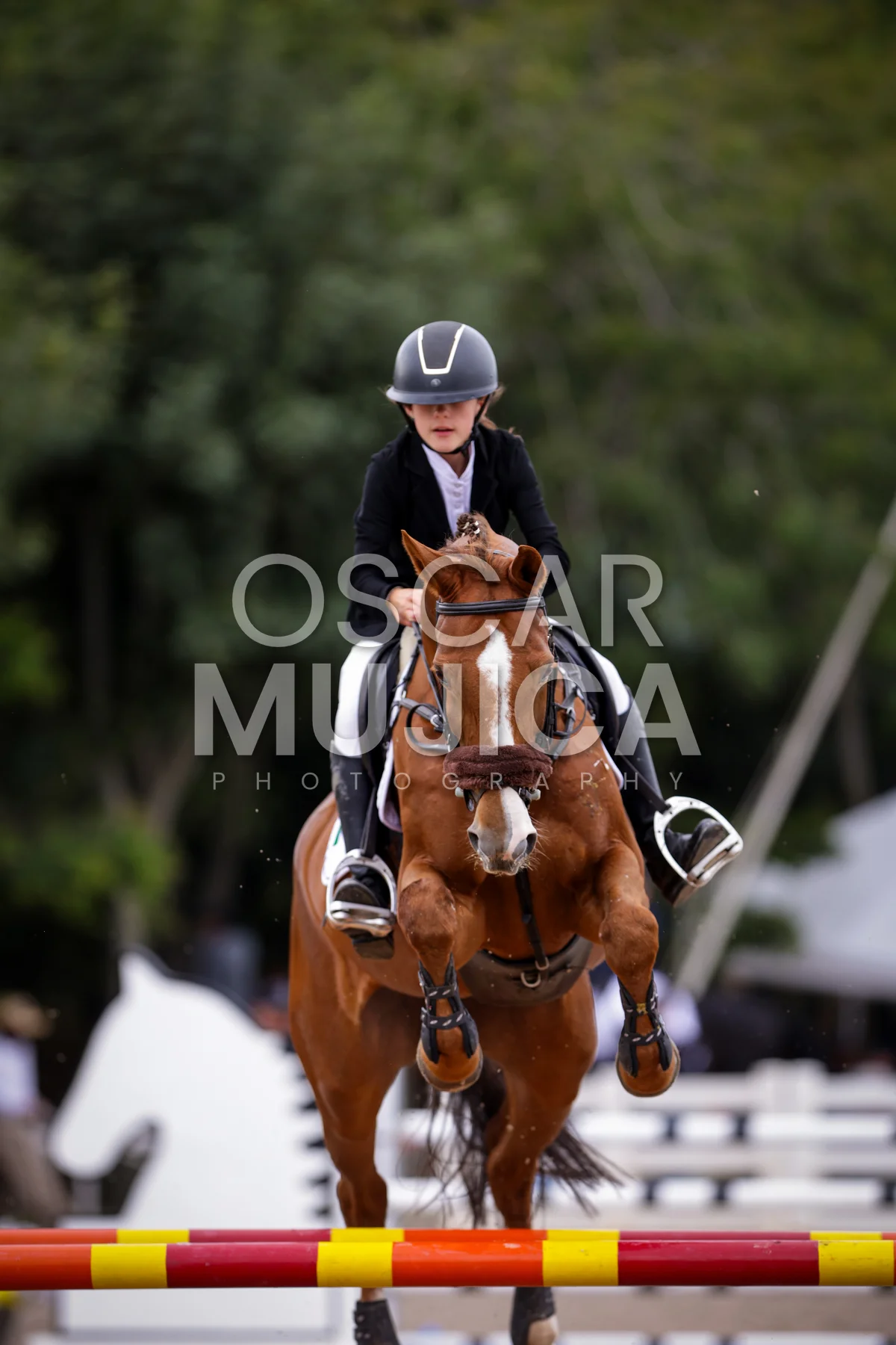 Foto de MARIA FERNANDA PACHECO
