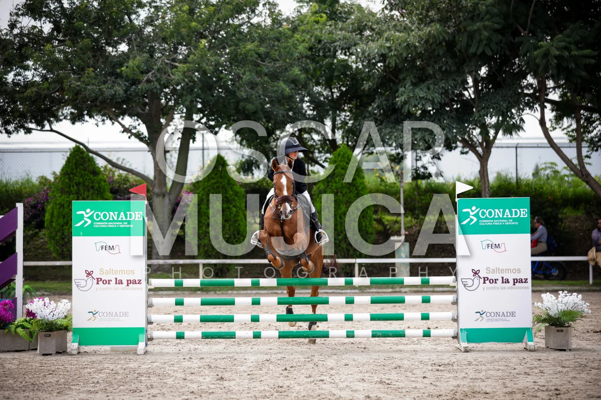 Foto de MARIA FERNANDA PACHECO