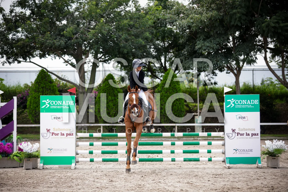 Foto de MARIA FERNANDA PACHECO
