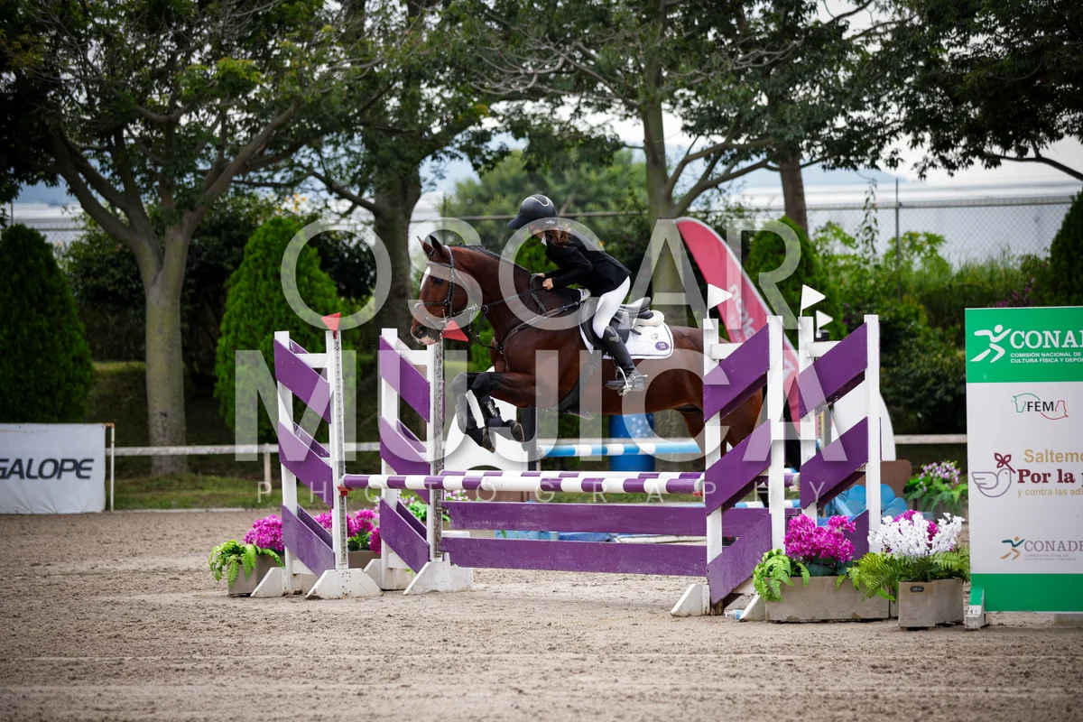 Foto de MARIA FERNANDA PACHECO