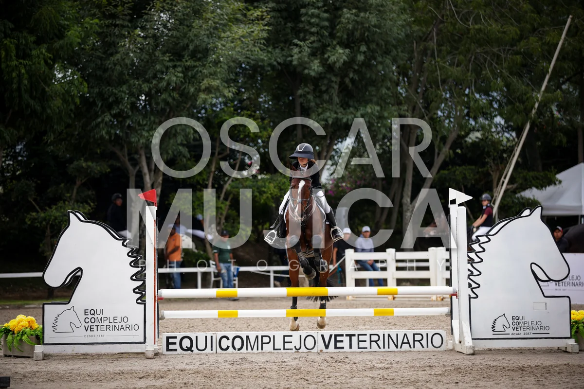 Foto de MARIA FERNANDA PACHECO