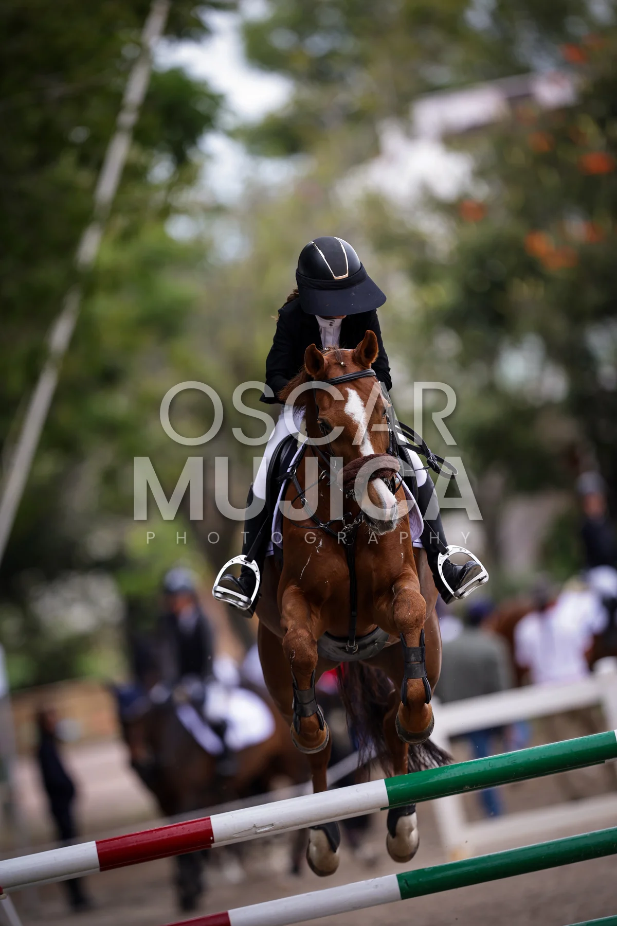 Foto de MARIA FERNANDA PACHECO