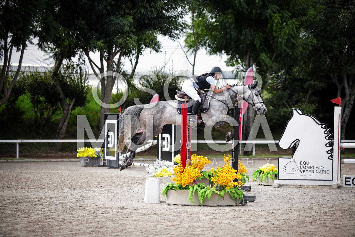 Foto de MARIA JOSE DE LA VEGA