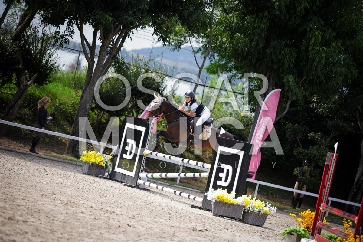 Foto de MARIA JOSE DE LA VEGA