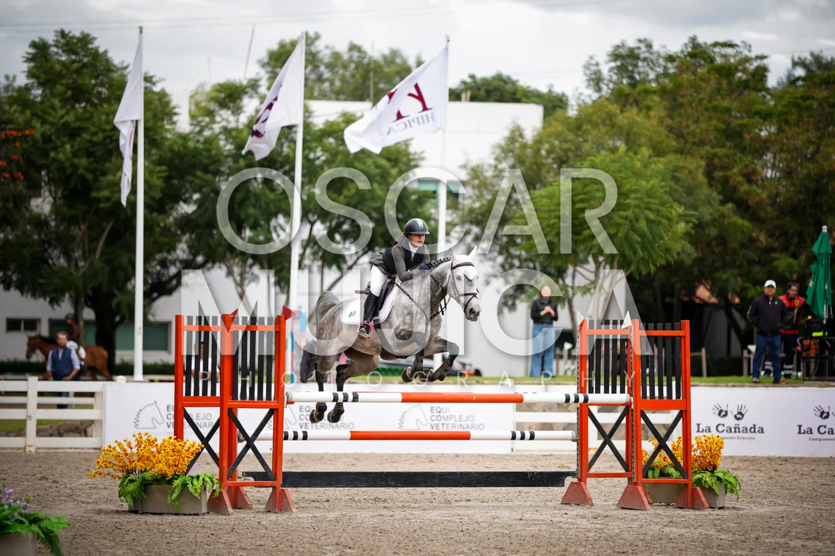 Foto de MARIA JOSE DE LA VEGA