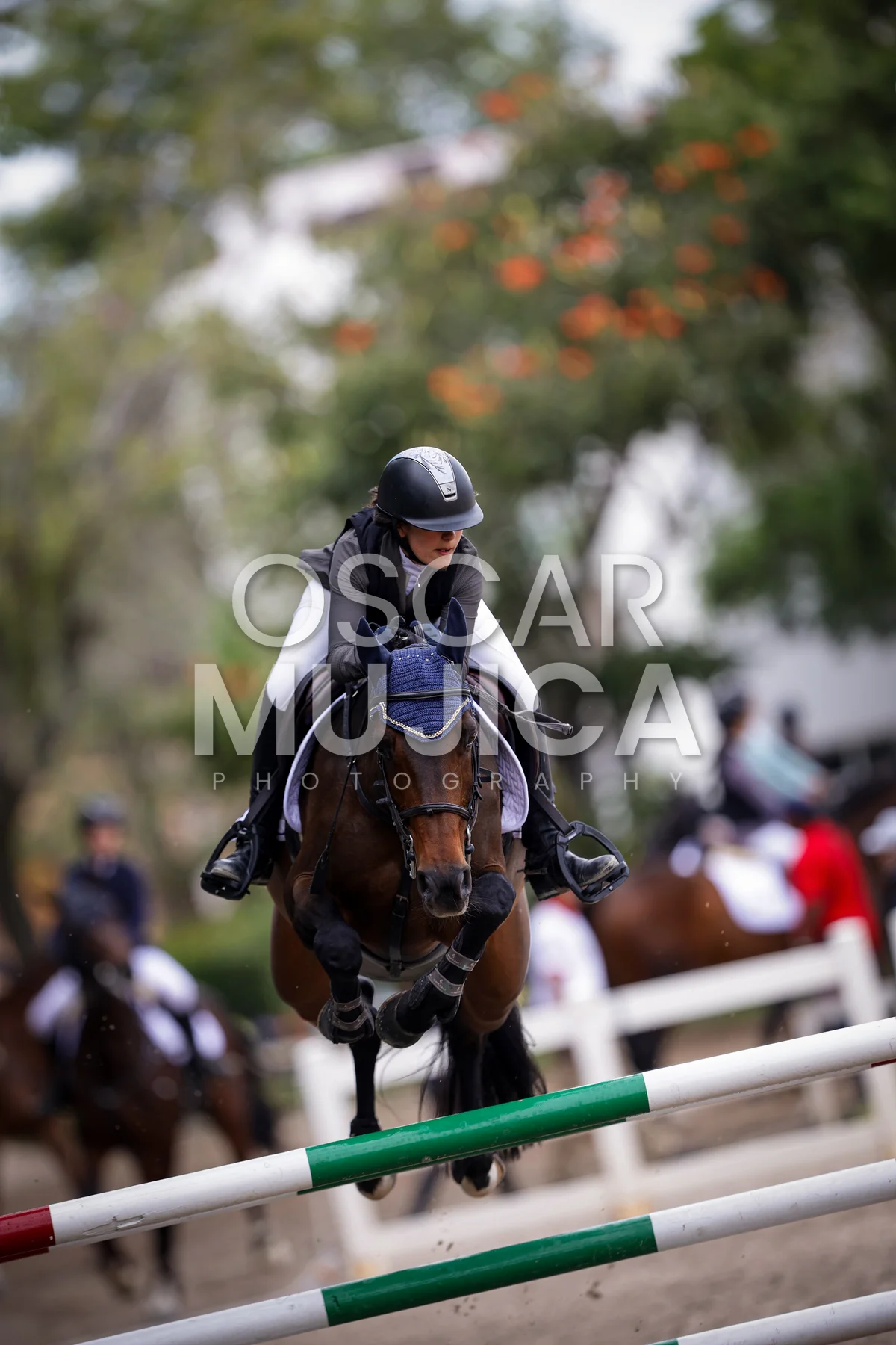 Foto de MARIA JOSE DE LA VEGA