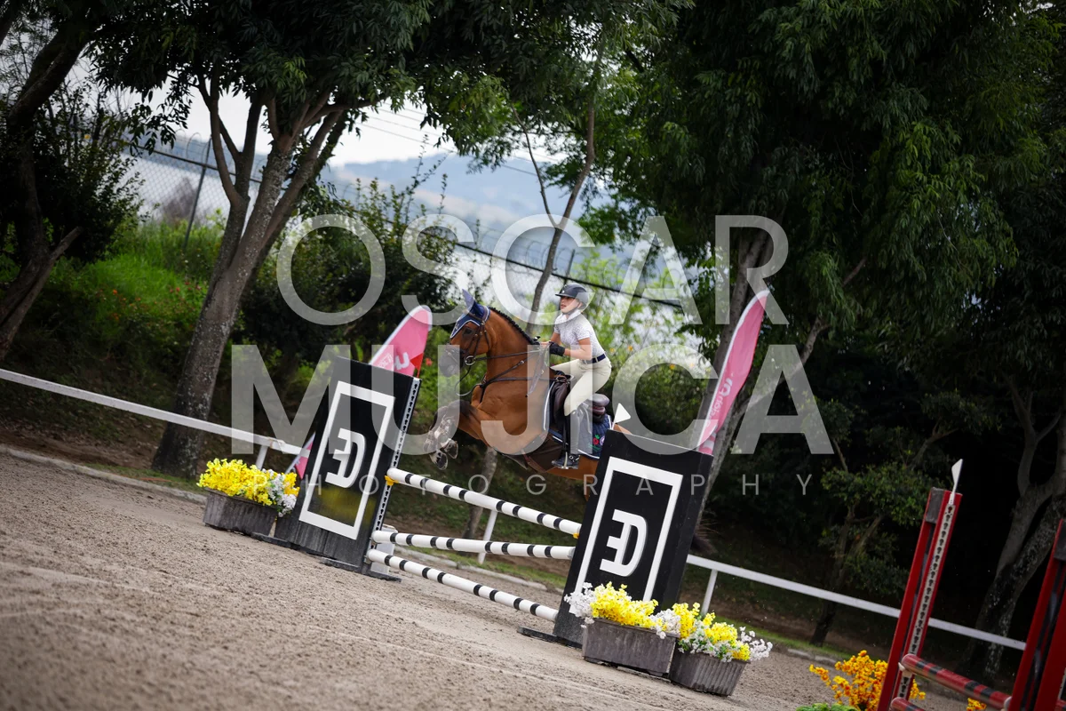 Foto de MARIA LAYSECA