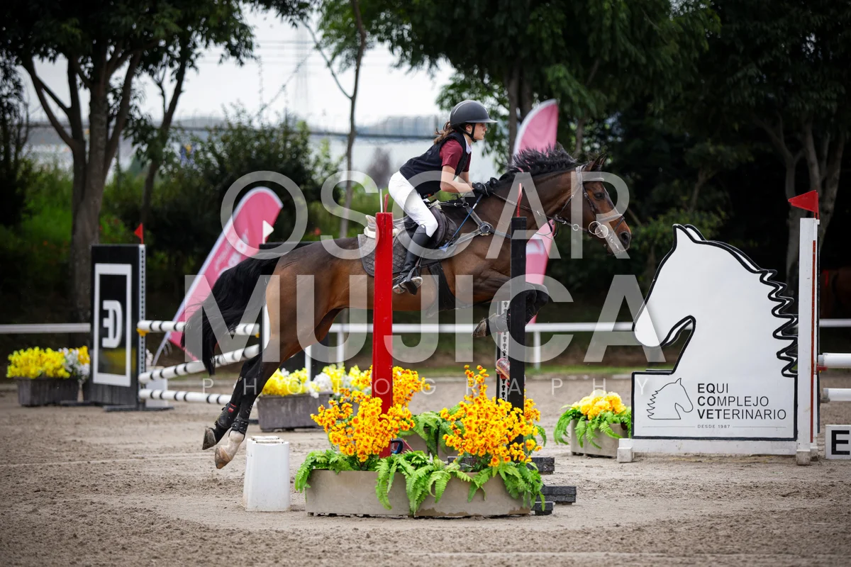 Foto de MAR TONDA