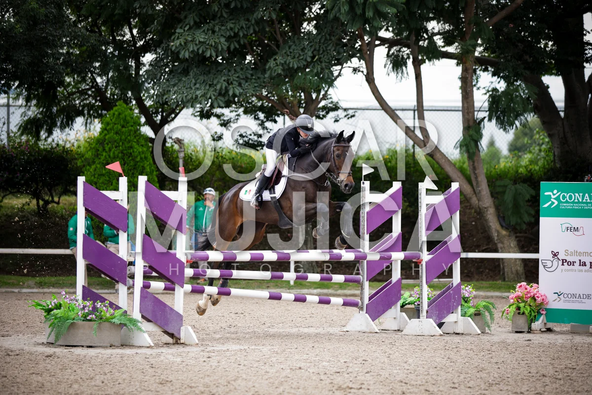 Foto de MIJAL NERUBAY