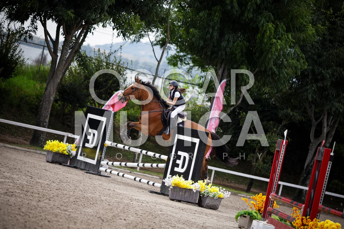 Foto de MIJAL NERUBAY