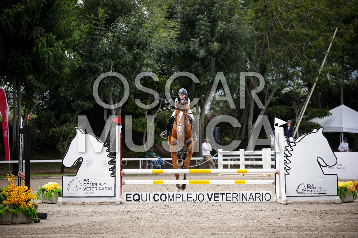 Foto de MIJAL NERUBAY