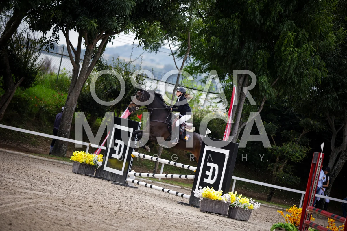 Foto de MIJAL NERUBAY