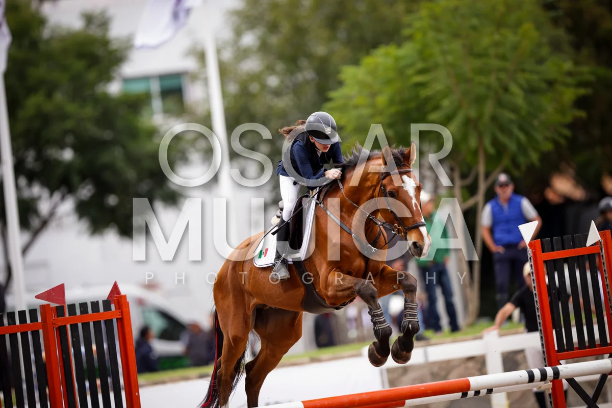 Foto de MIJAL NERUBAY