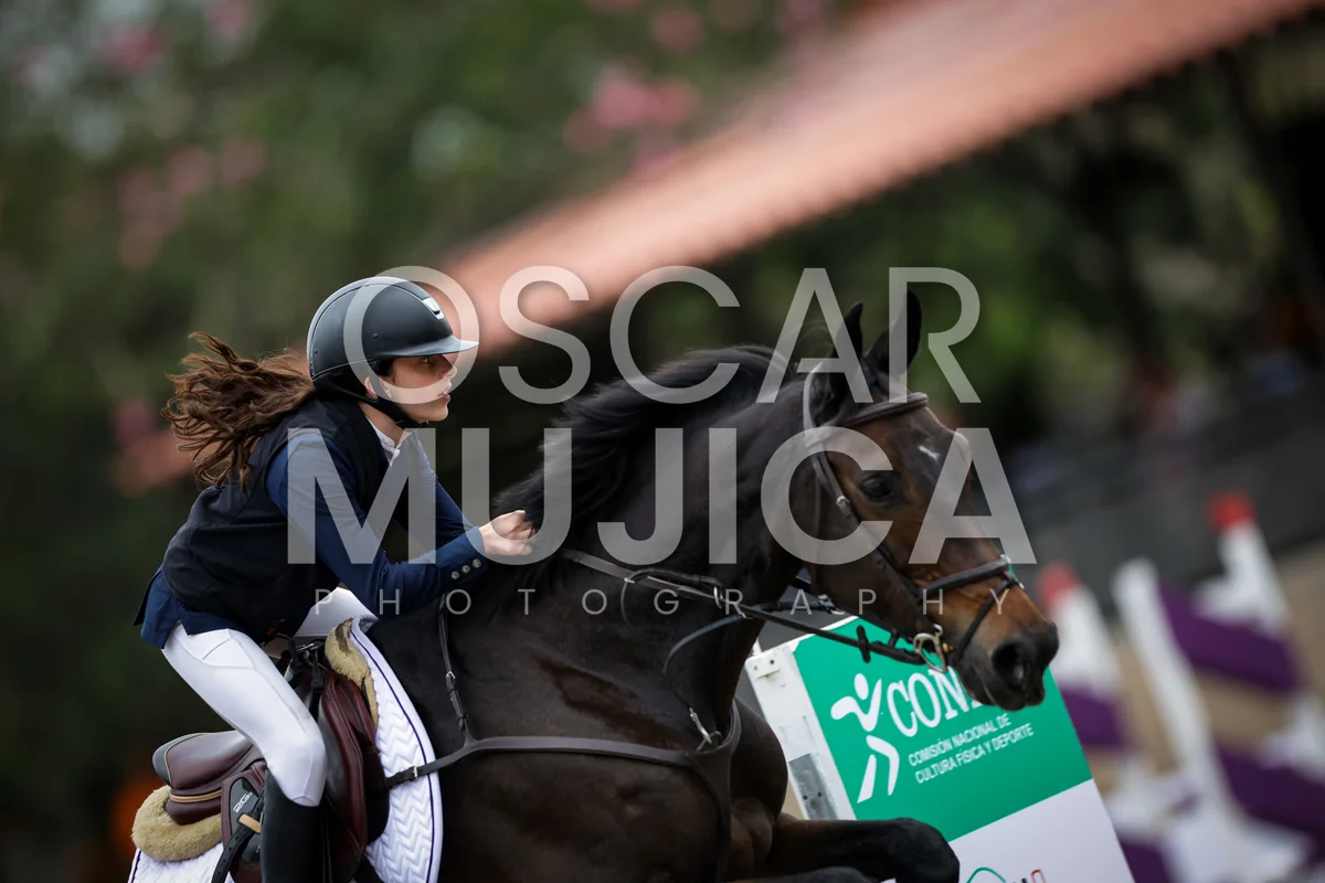 Foto de MIJAL NERUBAY