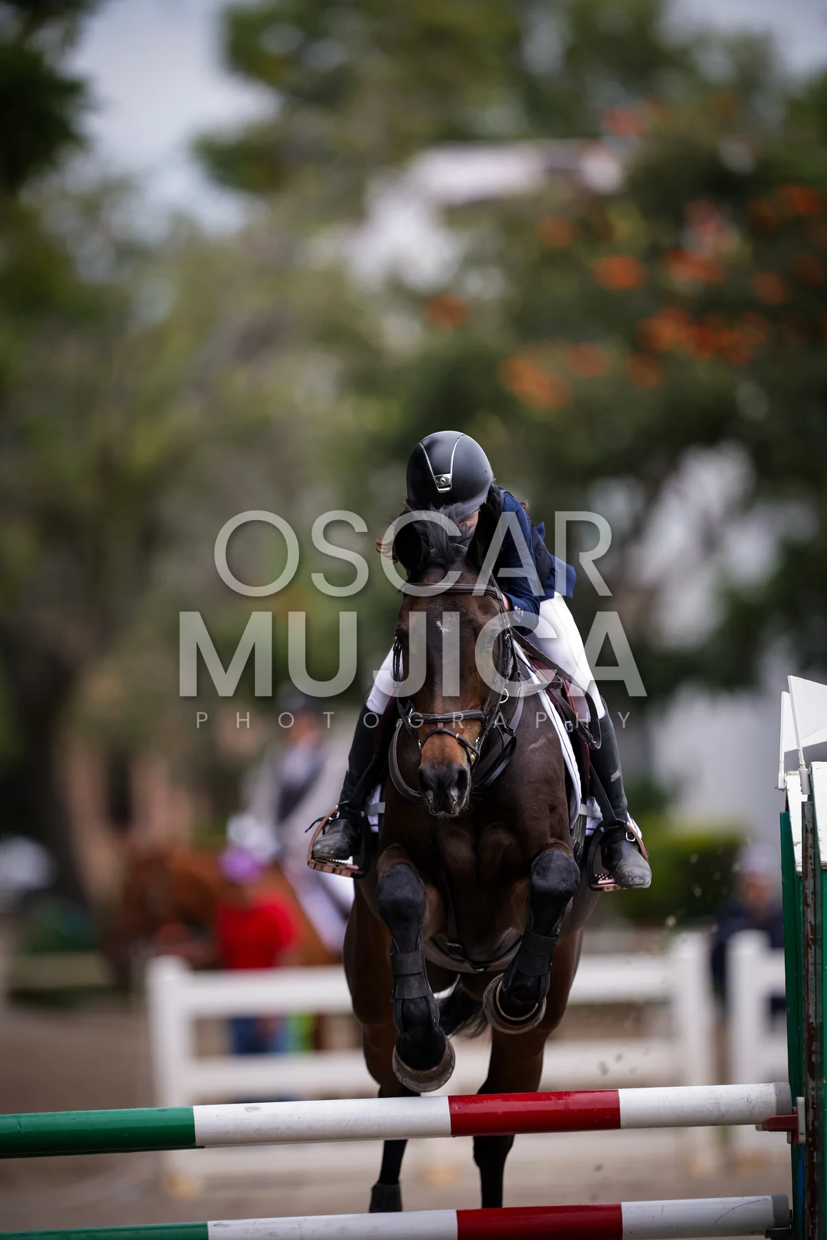 Foto de MIJAL NERUBAY