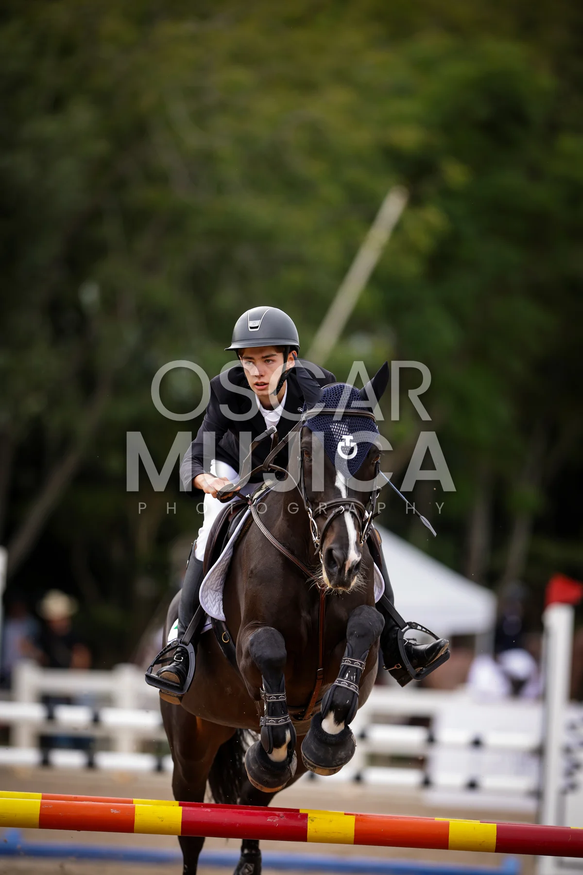 Foto de MIKAEL MOLINA