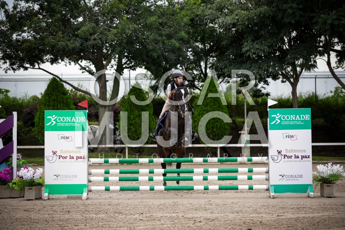 Foto de MIKAEL MOLINA