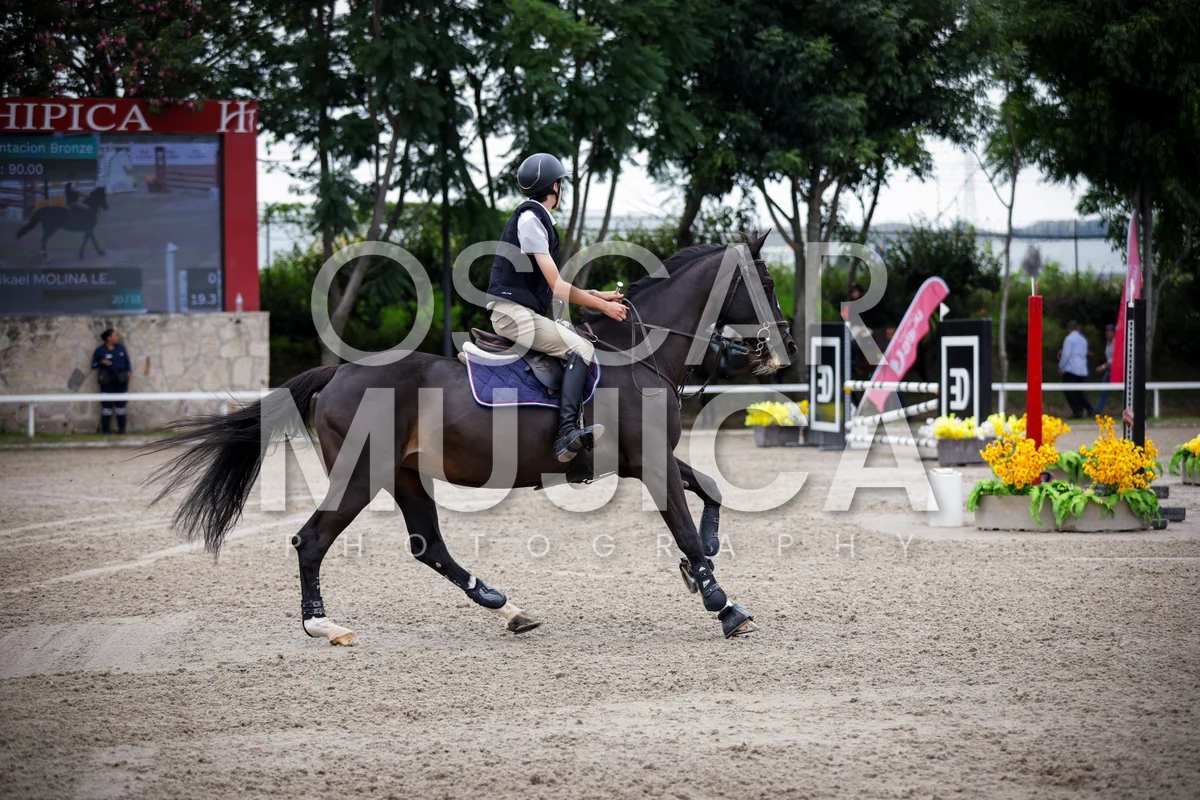Foto de MIKAEL MOLINA