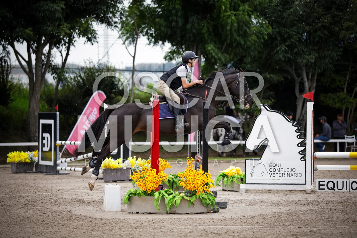 Foto de MIKAEL MOLINA