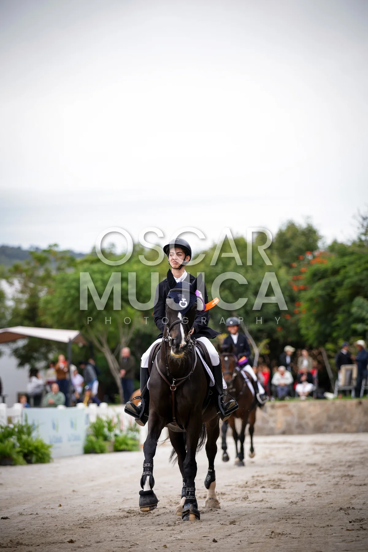 Foto de MIKAEL MOLINA