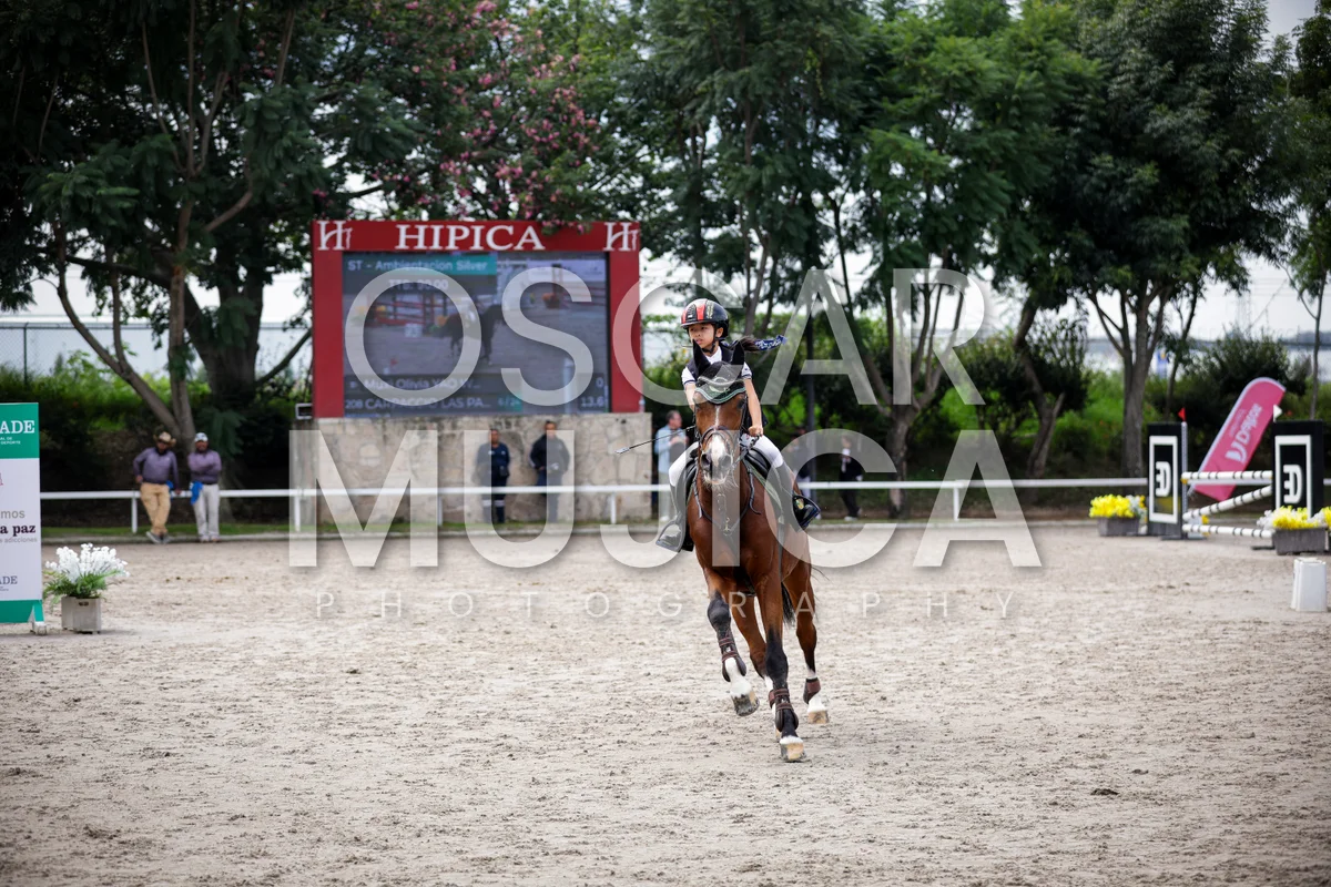 Foto de MUXI OLIVIA YAO
